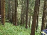 IMG-20200907-WA0005