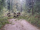 IMG-20240915-WA0029