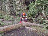 IMG-20240916-WA0096