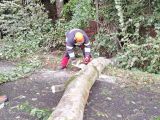 IMG-20240916-WA0098