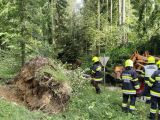 IMG-20240916-WA0122