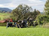 IMG-20240926-WA0006