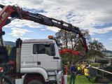 IMG-20240926-WA0017
