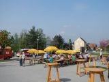 dscn0298