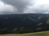 img_1772