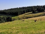 IMG_20190815_083710