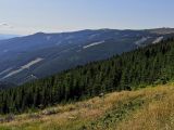 IMG_20190815_093933