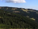 IMG_20190815_102042