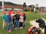 IMG-20250328-WA0017