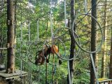 IMG-20250820-WA0024