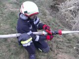 imag0273