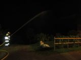 img_0103