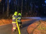 IMG-20250314-WA0012