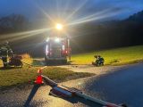 IMG-20250314-WA0019