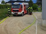 IMG-20250518-WA0046